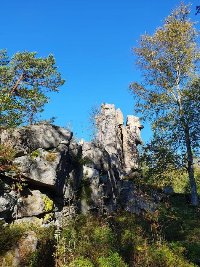 Gaestehaus Aurelia Wiesau Zewnętrze zdjęcie