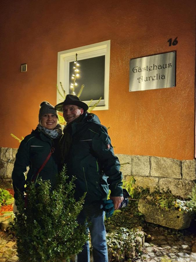 Gaestehaus Aurelia Wiesau Zewnętrze zdjęcie